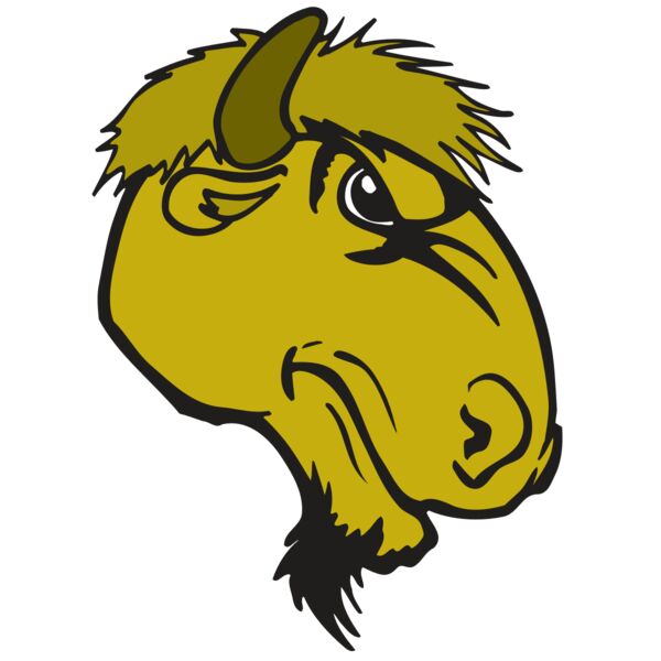 AR BUFFALO 14 RC Thumbnail